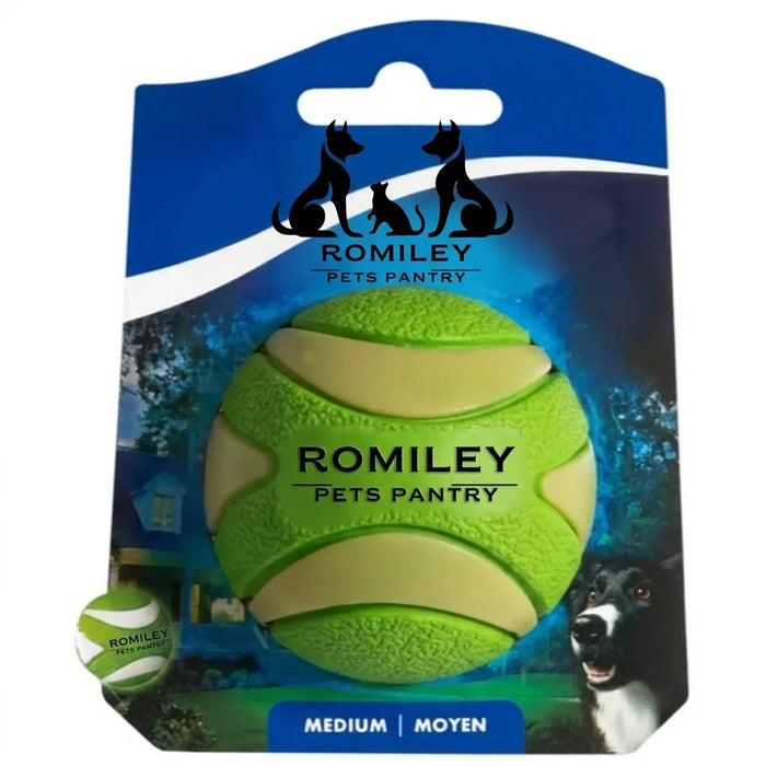 Romiley Pets Pantry Glow-in-the-Dark Squeaker Dog Fetch Ball